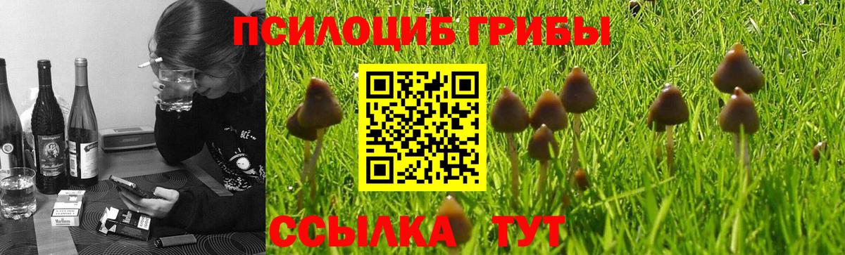 Псилоцибиновые грибы GOLDEN TEACHER  Псилоцибиновые грибы мицелий  Вход с VPN  Луховицы 