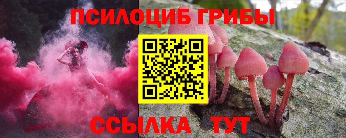 Псилоцибиновые грибы Psilocybine cubensis Луховицы